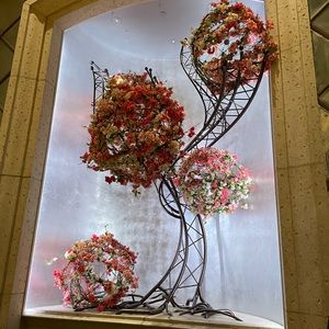 Meet your Posher, Catherine